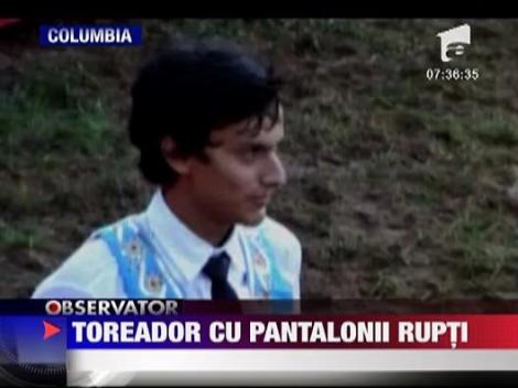 Toreador lasat fara pantaloni de taur