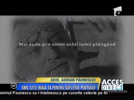 Ce-i datoreaza Vasile Seicaru lui Adrian Paunescu?