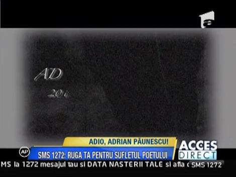 In satul natal al lui Adrian Paunescu