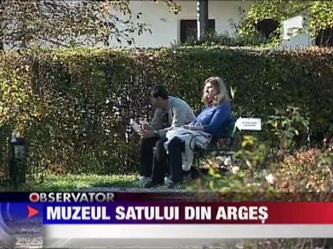 Muzeul satului din Arges