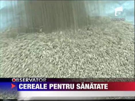 Felicia: Cerealele cu lapte pentru sanatate