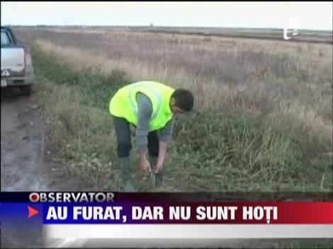 Au furat, dar nu sunt hoti