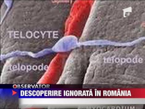 Romanii ignora celulele miracol de la Victor Babes