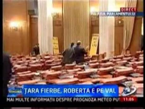VIDEO! Circ in Parlament: Politicienii se lupta in bannere si se injura "romaneste"