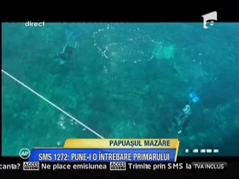 Femeile din viata lui Mazare si invataturile tatalui pentru fiu