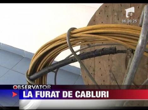 Hoti prinsi la furat de cabluri