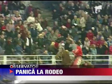 Un taur furios a sarit in tribune la un rodeo din Canada