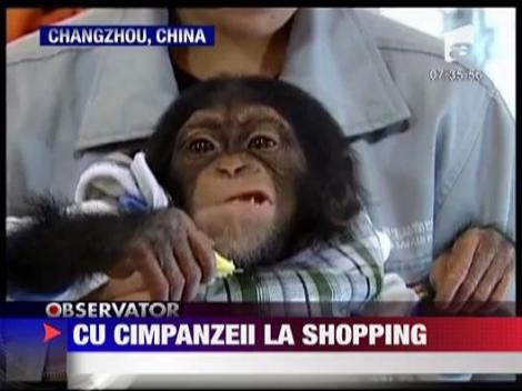 Cu cimpanzeii la shopping