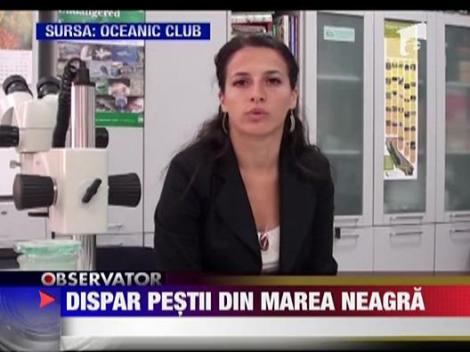 Dispar pestii din Marea Neagra