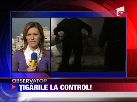 Lovitura data de politistii hunedoreni traficantilor de tigari