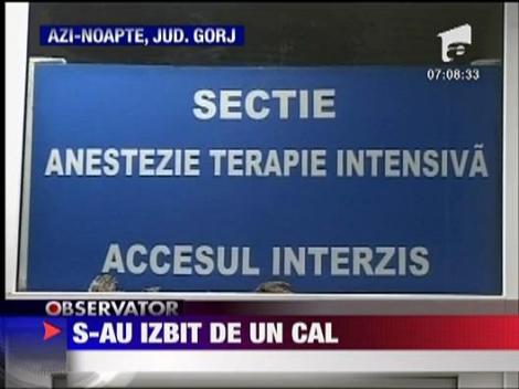 Un motociclist a murit dupa ce s-a izbit de un cal in judetul Gorj