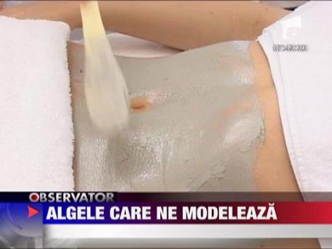 Felicia: Algele care ne modeleaza