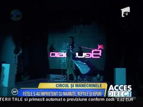 Manechinele fac circ in miez de noapte