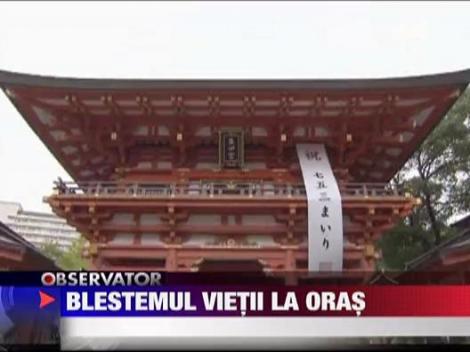 Blestemul vietii la oras