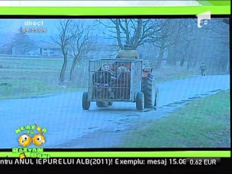 Best Husband competition