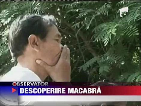 Descoperire macabra in Thailanda