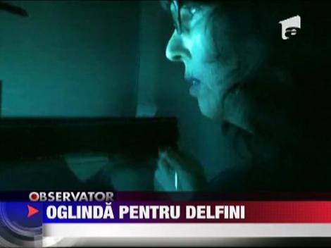 Oglinda pentru delfini