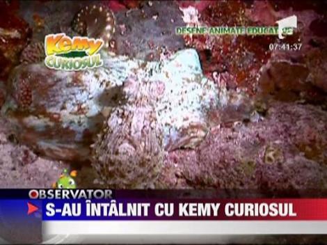 Copiii s-au intalnit cu Kemy curiosul