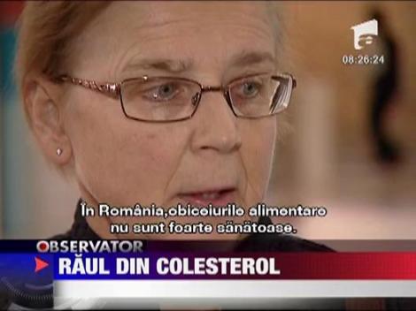 Raul din colesterol