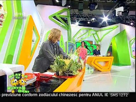 Razvan regele somnului