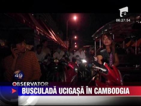 Busculada ucigasa in Cambodgia
