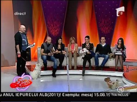 Catelul lui Mitoseru in concurs