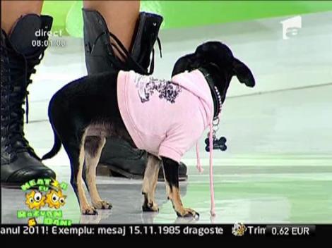 Daniela si Chihuahua la Neatza