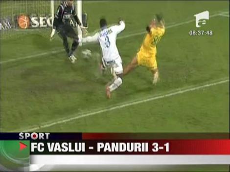 FC Vaslui - Pandurii 3-1