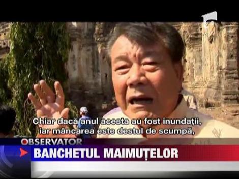 Banchetul maimutelor