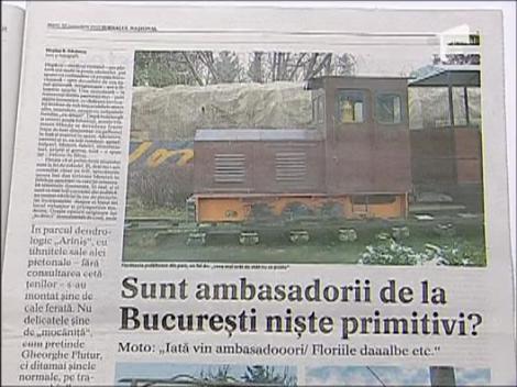 Mircea Badea despre "Pomana Porcului" a lui Gheorghe Flutur