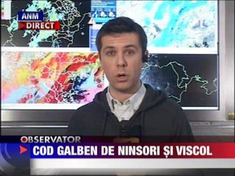 Cod galben de ninsori si viscol