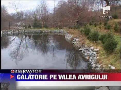 Calatorie pe Valea Avrigului