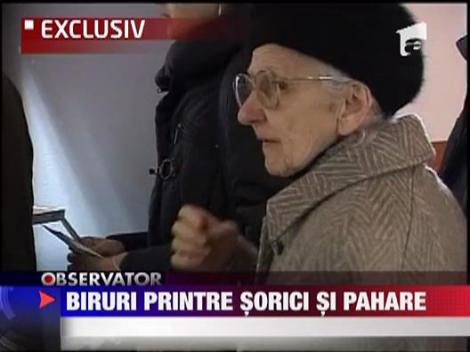 Birouri printre sorici si pahare!