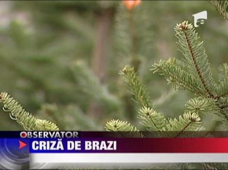 Criza de brazi