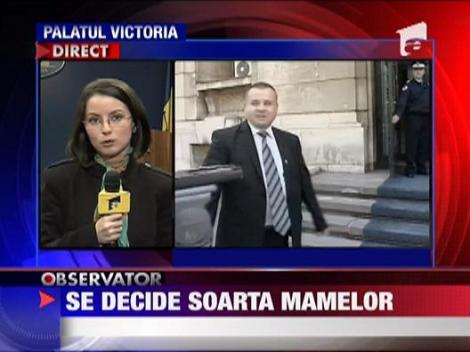 Guvernul decide forma finala a concediului de maternitate