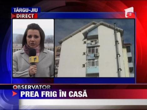 Fetite inghetate in propria casa