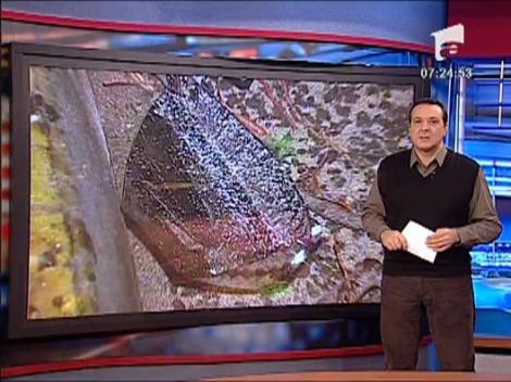 Intrecere cu accident pe cheiul Dambovitei