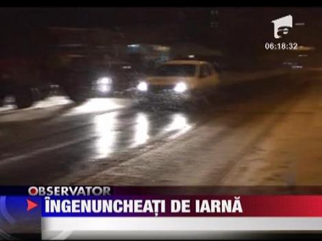 Ingenuncheati de iarna