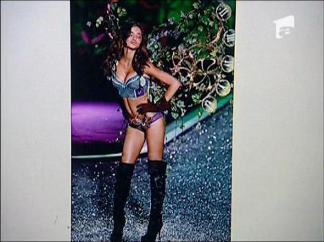 Badea si internautii complexati