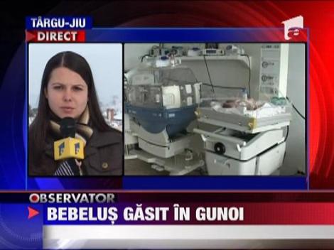Bebelus gasit viu la gunoi