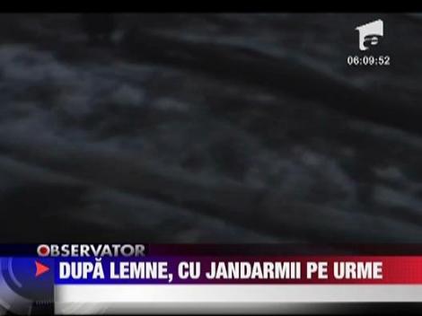 Hot prins la furat de lemne