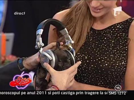 Bianca si Stoian, cadori in emisiune