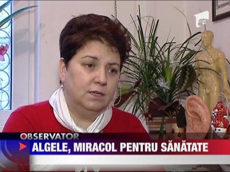 Algele, miracol pentru sanatate
