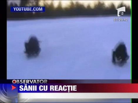 Sanii cu reactie
