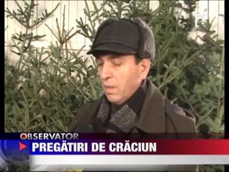 Pregatiri de Craciun! Astazi este Ignatul