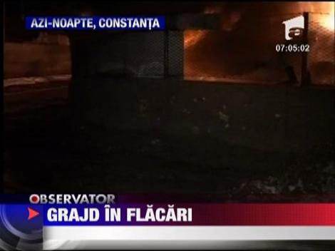 Incendiu puternic in Constanta