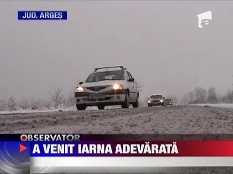 A venit iarna adevarata