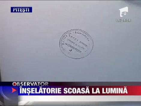 Inselatorie scoasa la lumina