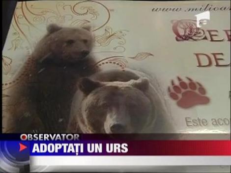 Adoptati un urs