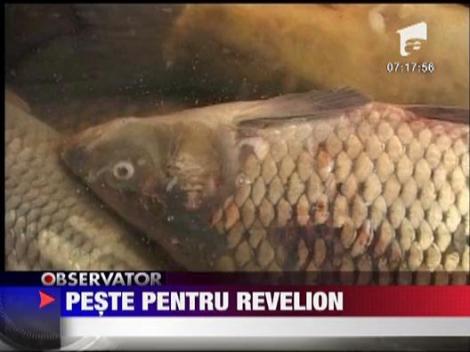 Peste pentru revelion